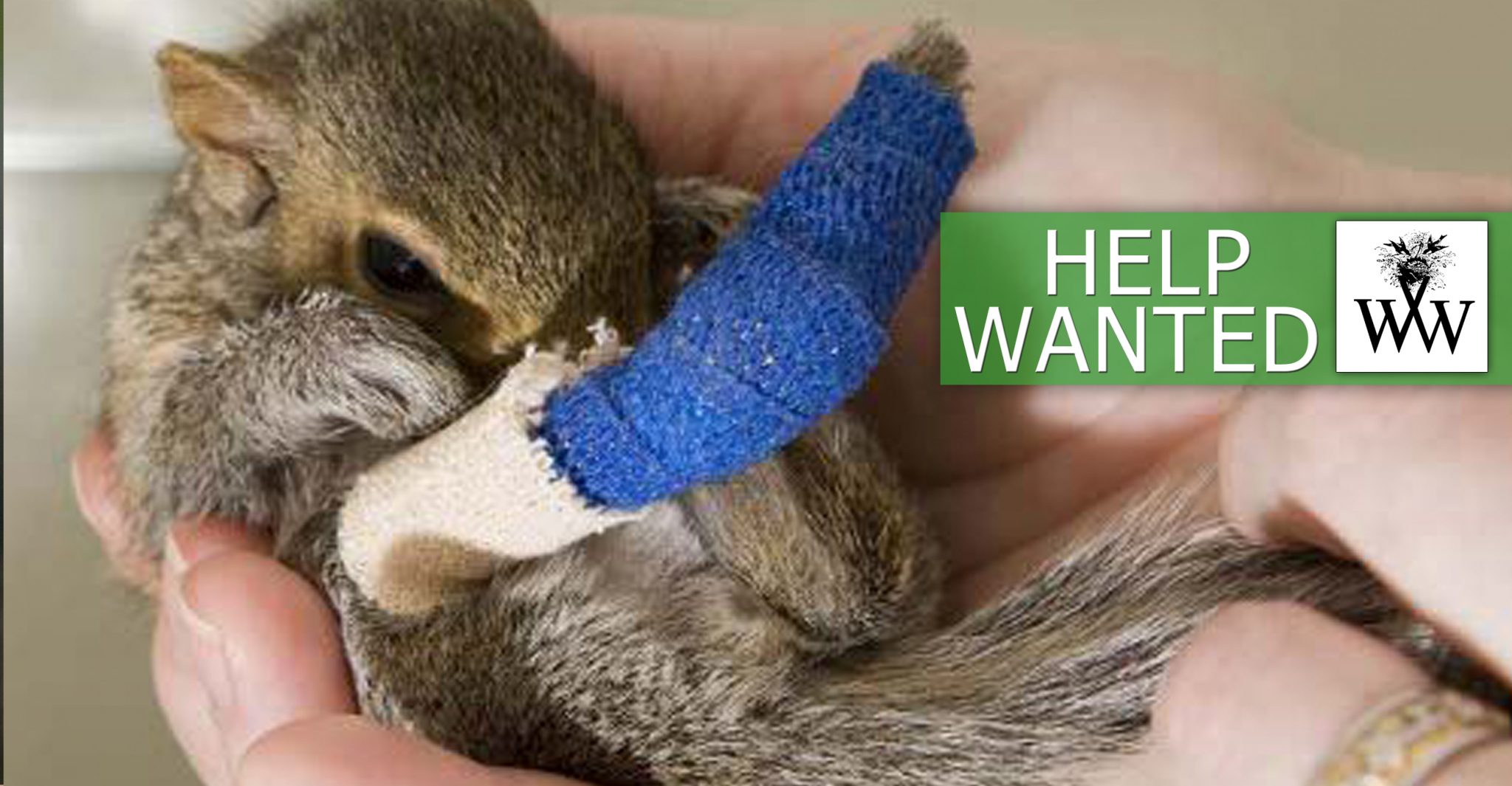 Support our Work - Wildlife Welfare