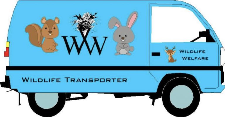WWI Transporter